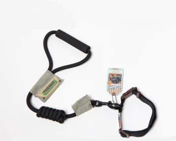 Pet Leash Set for Small Dogs and Cats with Collar