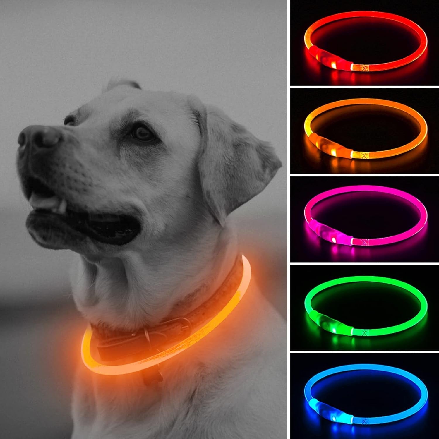 Pet Collar