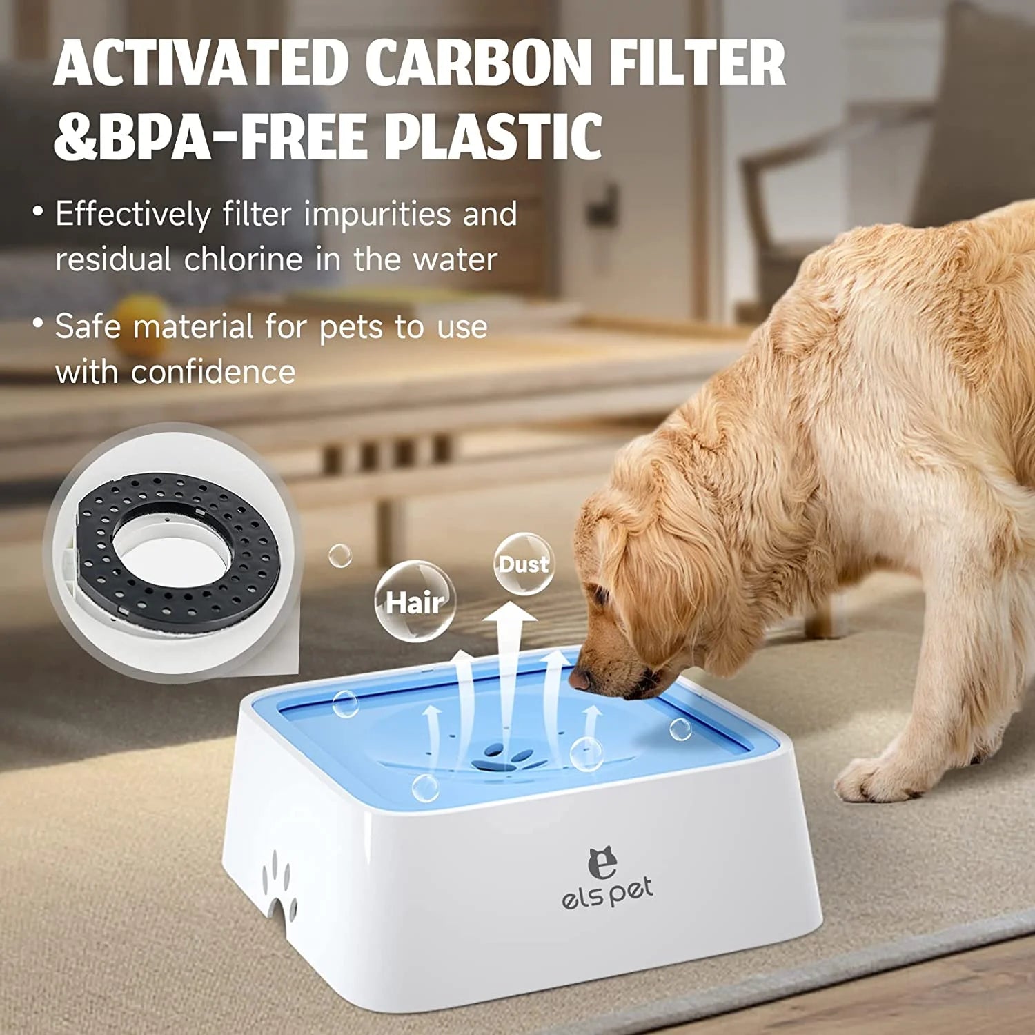 Pet Feeding