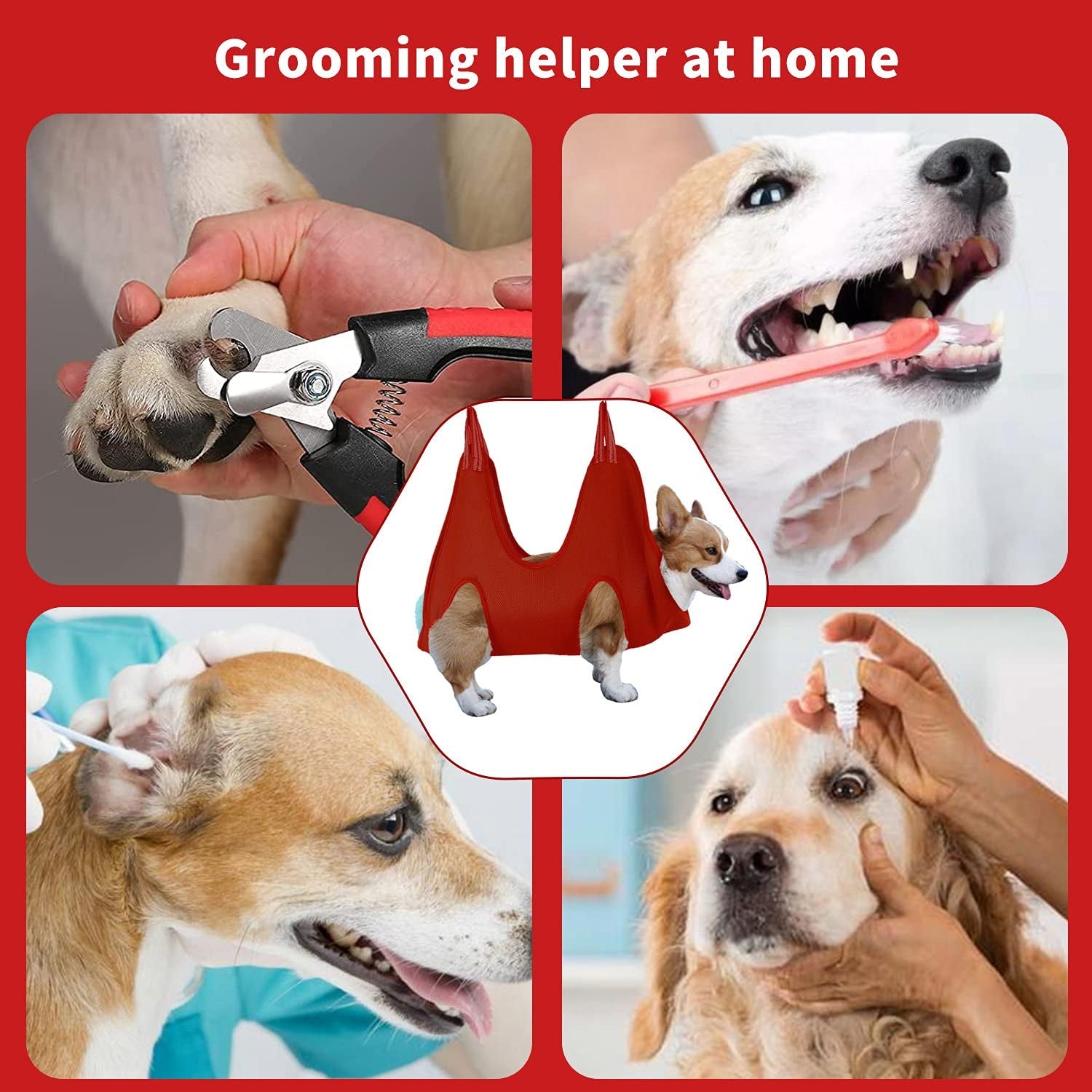 Pet Grooming