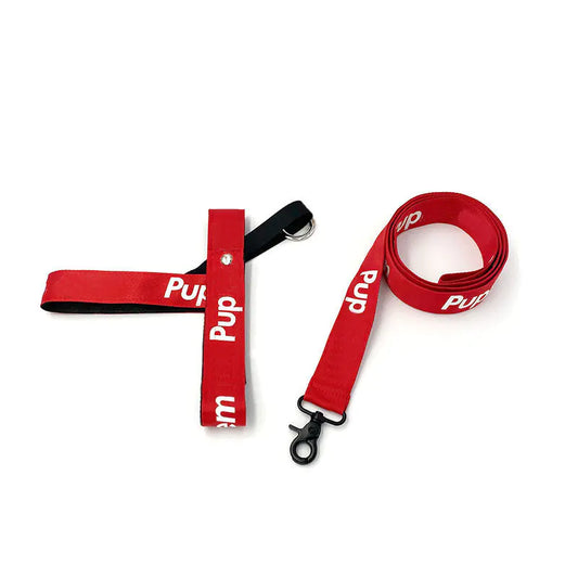 Cute Red Collar for Small and Medium Dogs