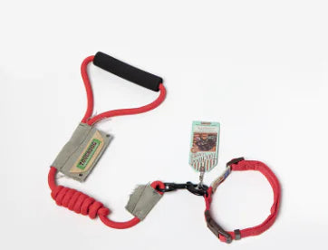 Pet Leash Set for Small Dogs and Cats with Collar